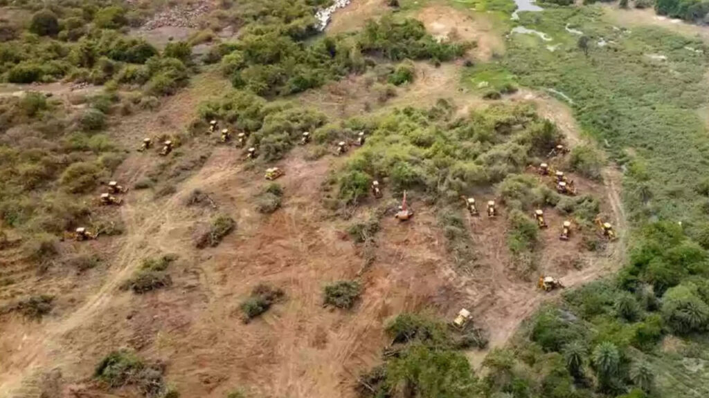 CEC : కంచ గచ్చిబౌలి భూములపై సీఈసీ కీలక నివేదిక