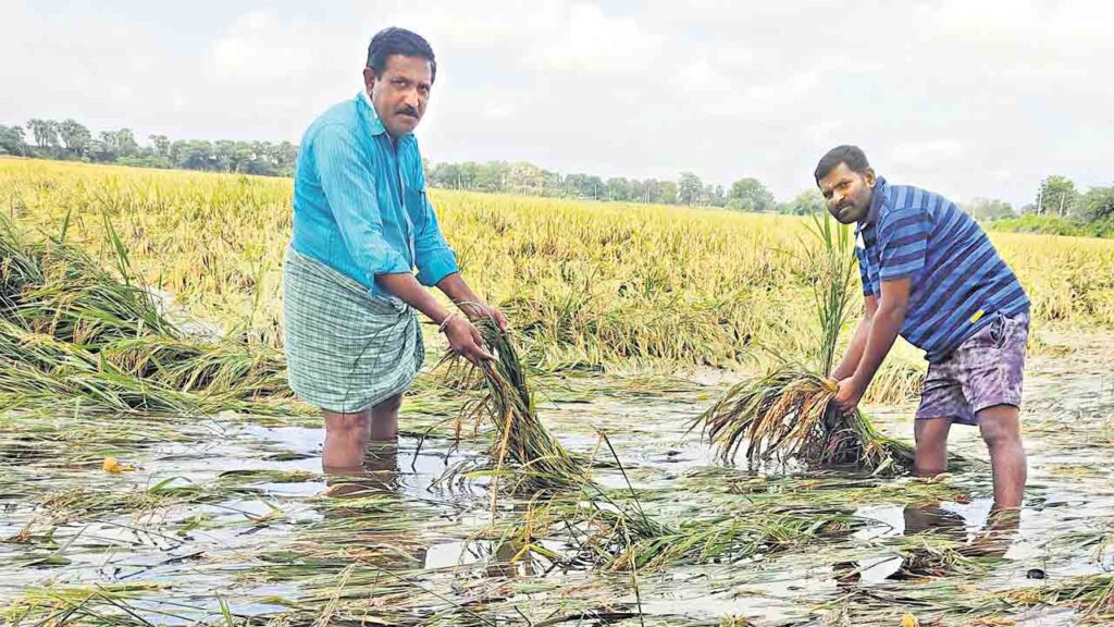 Telangana : అకాల వర్షాలతో రైతుల పంట నష్టం