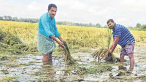 అకాల వర్షాలతో రైతుల పంట నష్టం