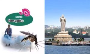 దోమల నివారణకు జీహెచ్‌ఎంసీ చర్యలు