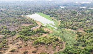 ఆ భూములను వదిలేయండి అంటూ సినీ స్టార్స్ రిక్వెస్ట్