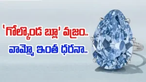 నీలివజ్రం జెనీవాలో వేలానికి – చరిత్రలో వెలుగులు