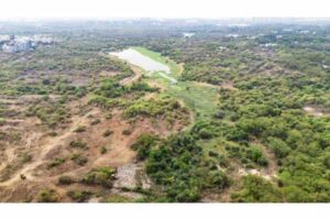 హెచ్‌సీయూ భూవివాదంపై మంత్రుల కమిటీ ఏర్పాటు