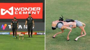 IPL రోబోటిక్ డాగ్ పేరు ఏంటంటే?