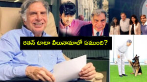 రతన్ టాటా వీలునామాలో ఆసక్తికర అంశాలు..