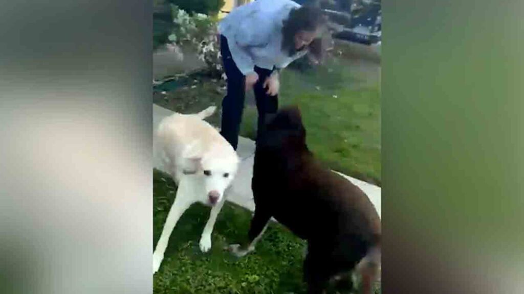 Sunita Williams: సరదాగా పెంపుడు కుక్కలతో గడిపిన సునీతా విలియమ్స్‌