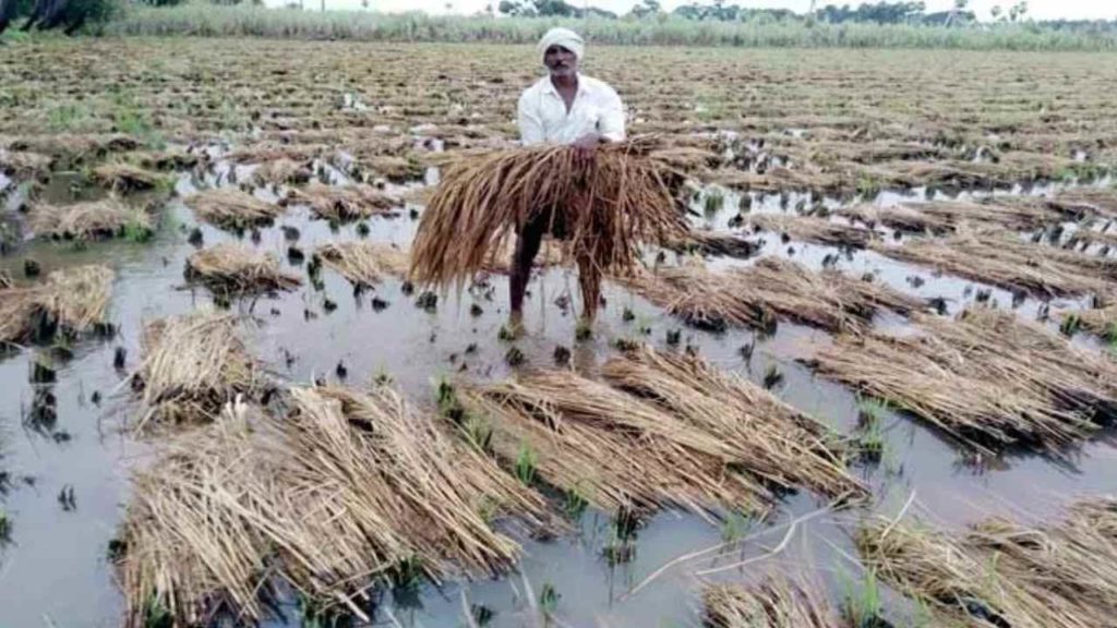  Telangana : అకాల వర్షాలతో రైతుల పంట నష్టం