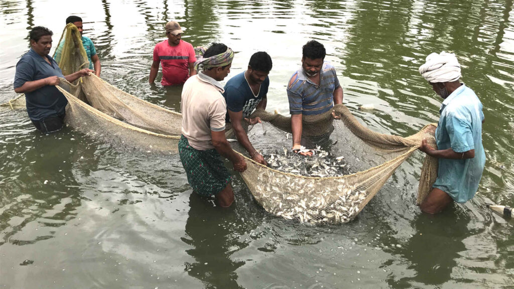 Fishing: అర్ధరాత్రి నుంచి ఏపీలో మొదలైన చేపల వేట బంద్