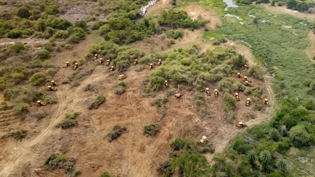 Telangana Government కంచ భూములపై కేంద్ర కమిటీకి నివేదిక