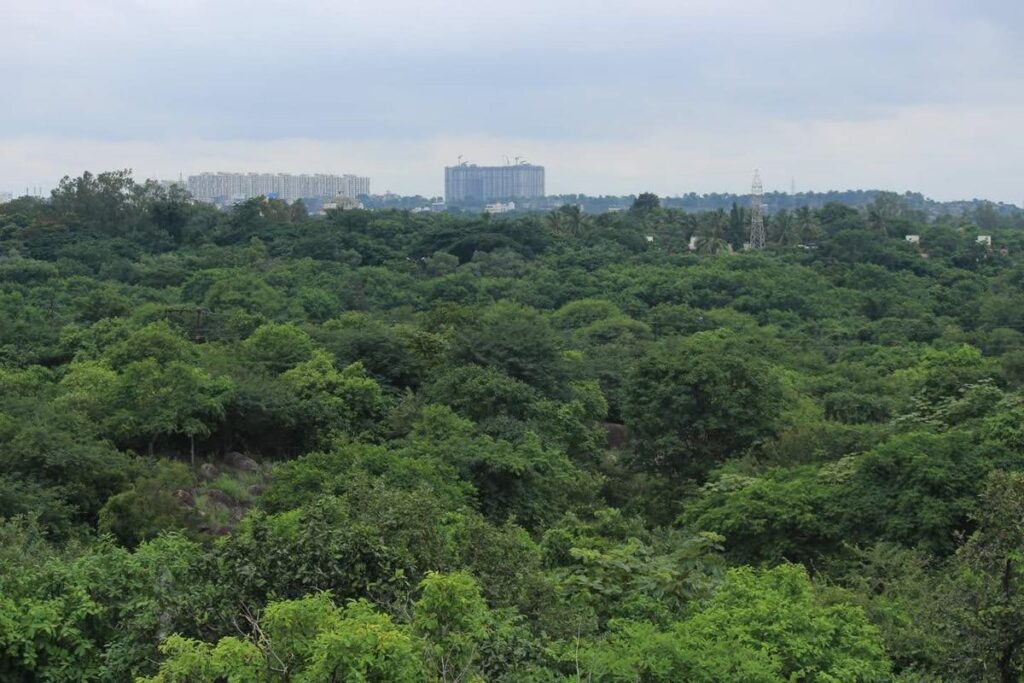 Telangana Government : కంచ భూములపై కేంద్ర కమిటీకి నివేదిక