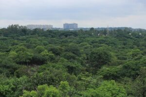 కంచ భూములపై కేంద్ర కమిటీకి నివేదిక