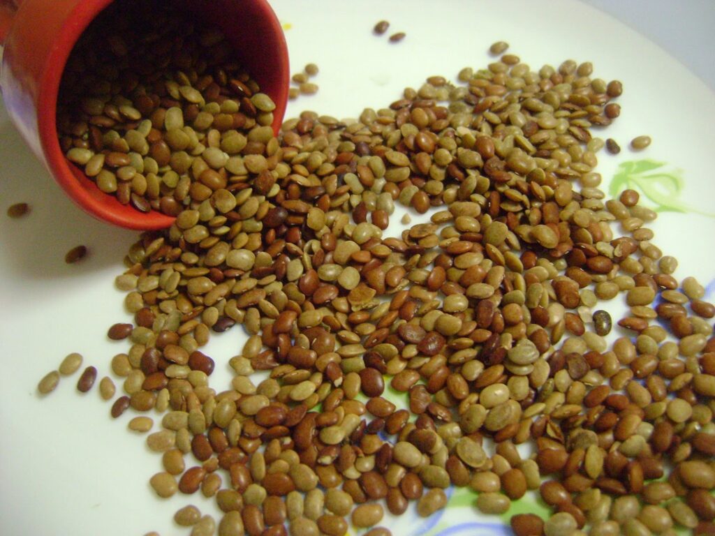Horse Gram: ఉలవలు తినడం వల్ల కలిగే ఆరోగ్య ప్రయోజనాలు