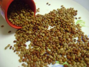 ఉలవలు తినడం వల్ల కలిగే ఆరోగ్య ప్రయోజనాలు