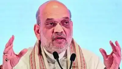 Amit Shah : పాకిస్తానీయులు భారత్ విడిచి వెళ్ళాలి