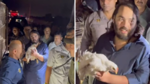 కోళ్ల పై ఉన్న ప్రేమతో ఏకంగా కోళ్ల లారీనే కొనేసిన అనంత్‌ అంబానీ