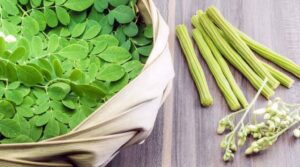 మునగ ఆకుతో అద్భుతమైన ఆరోగ్య ప్రయోజనాలు