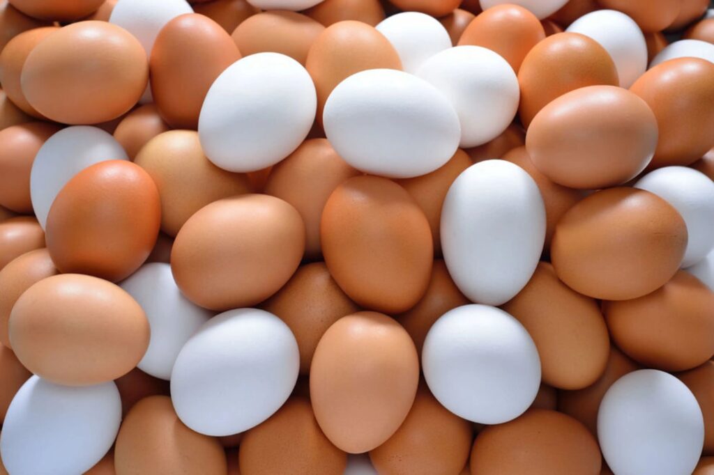 US egg prices: అమెరికాలో గుడ్ల ధరలు ఆకాశాన్ని అంటుతున్నాయి!