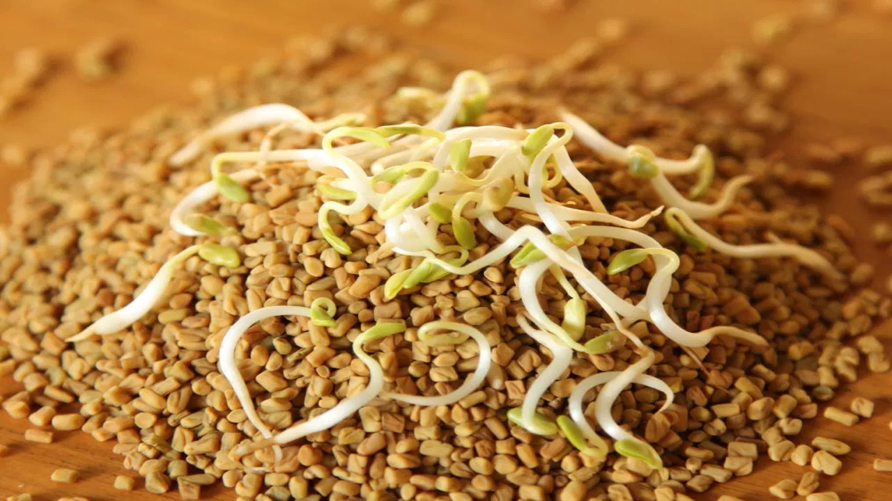Sprouted Fenugreek: ఉదయాన్నేమొలకెత్తిన మెంతులు తింటే ఏం జరుగుతుందో తెలుసా?