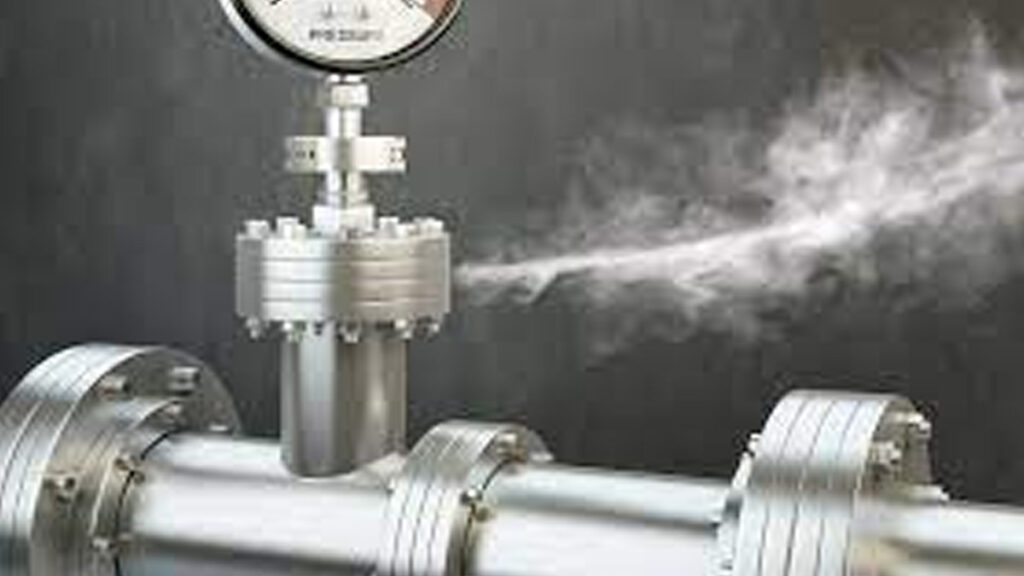 Gas Leak : నెల్లూరులో అమోనియా గ్యాస్ లీక్ కలకలం