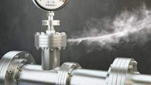 నెల్లూరులో అమోనియా గ్యాస్ లీక్ కలకలం