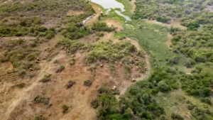 హెచ్‌సీయూ భూముల వివాదం.. పలువురు నాయకులపై కేసు నమోదు