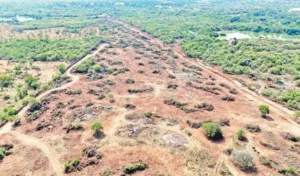 కంచ గచ్చిబౌలి భూముల్లో అభివృద్ధికి ఉన్న ఆటంకాలు తాత్కాలికమే – సీఎం రేవంత్