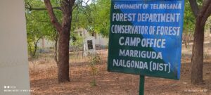 వేటగాళ్లకు చట్టాన్ని చుట్టంగా మార్చిన అటవీశాఖ అధికారులు