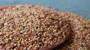 ఉలవలతో ఆరోగ్య ప్రయోజనాలు ఎన్నో మీకు తెలుసా?