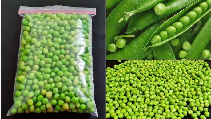   Health :ఆరోగ్య సిరి ఈ బఠాణి