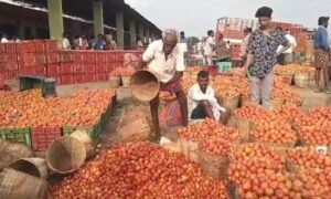 30 మార్కెట్ కమిటీలకు ఛైర్మన్ల ప్రకటన