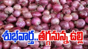 ఉల్లి ధరలు క్షీణత