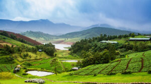 ఊటీ, కొడైకెనాల్‌లో అమలులోకి ఈ-పాస్‌ విధానం