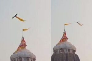 జగన్నాథుడి జెండా ఎత్తుకెళ్లిన గద్ద.. వీడియో వైరల్ !