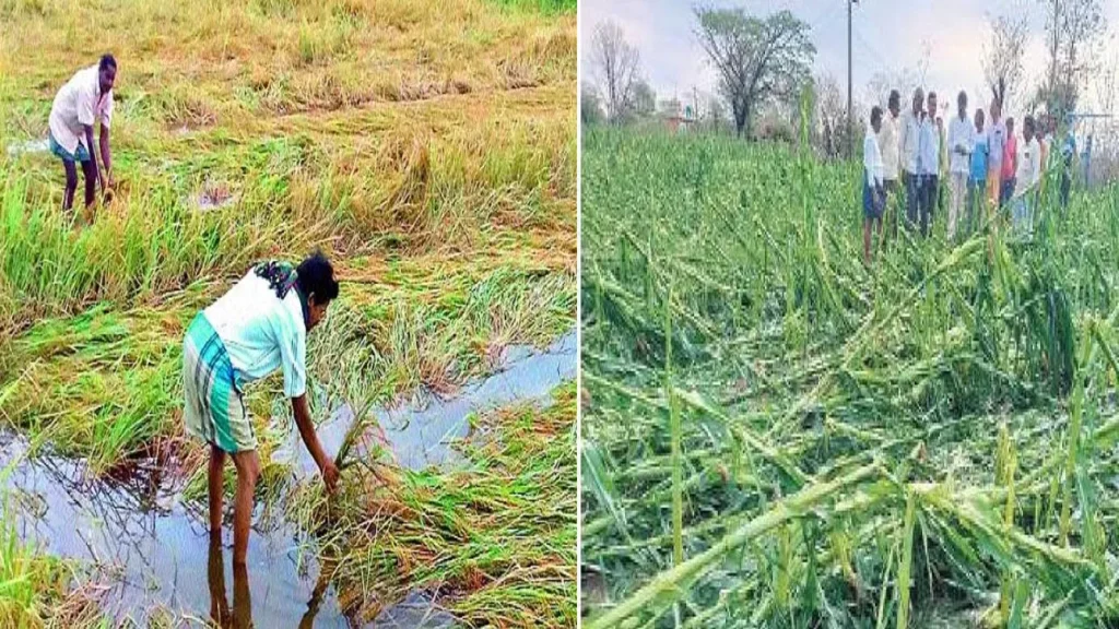 Telangana : అకాల వర్షాలు రైతులకు తీవ్ర నష్టం