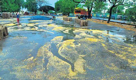 Telangana : తెలంగాణలో అకాల వర్షాలతో పంటలు నాశనం