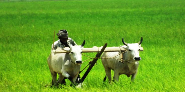 Telangana: గడువు కంటే ముందు తెలంగాణకు వర్ష సూచన రైతులకు పండుగే