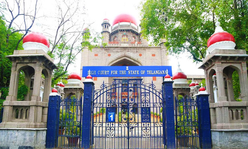  YV Subbareddy: రక్షణ కల్పించాలంటూ టీజీ హైకోర్టును ఆశ్రయించిన వైవి సుబ్బారెెడ్డి భార్య
