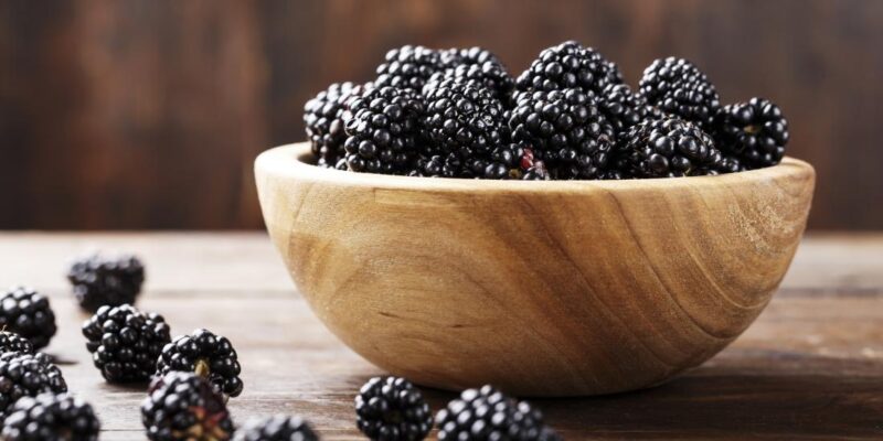 Black Berries Health Benefits 800x400