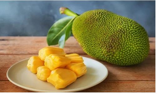 Health: క్యాన్సర్ ని ఆమడదూరం ఉంచే పనస