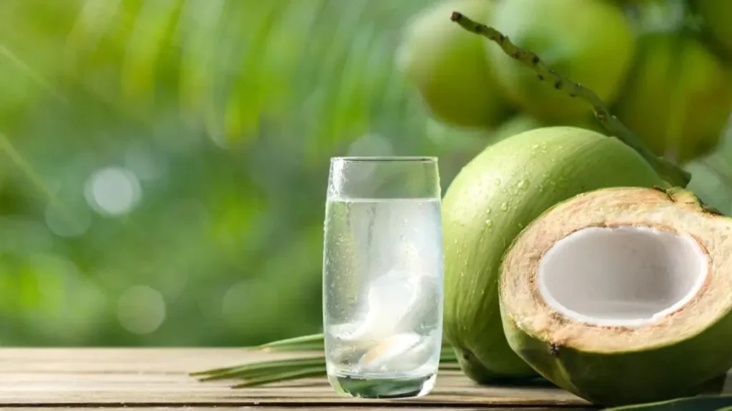 Coconut Water Benefits : కొబ్బరి నీళ్లు అతిగా తాగితే అనర్థాలే!
