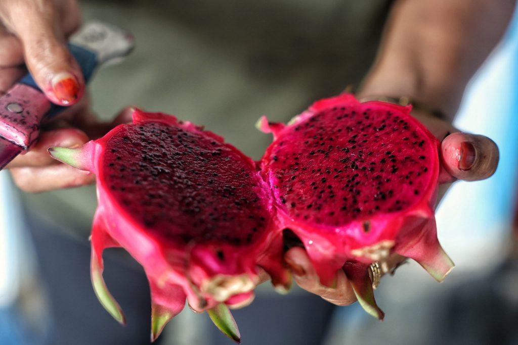  Health: పోషకాల ఘని డ్రాగన్ ఫ్రూట్ 