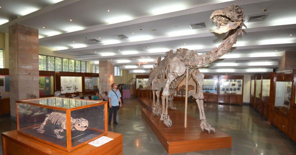 International Museum Day: నేడు చారిత్రక ప్రదేశాలు, మ్యూజియంలకు ఉచిత ప్రవేశం! 