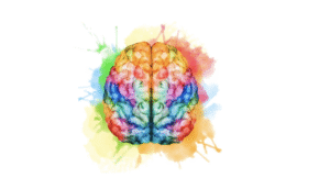 జ్ఞాపకశక్తి కోసం జపనీస్ చిట్కాలు…