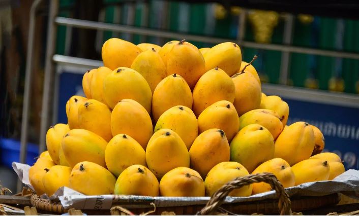 India- pak: అరుదైన మామిడి జాతి విషయంలో భారత్ పాక్ ల మధ్య మాటల యుద్ధం