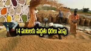 ఖరీఫ్ పంటలకు మద్దతు ధర పెంచిన కేంద్రం