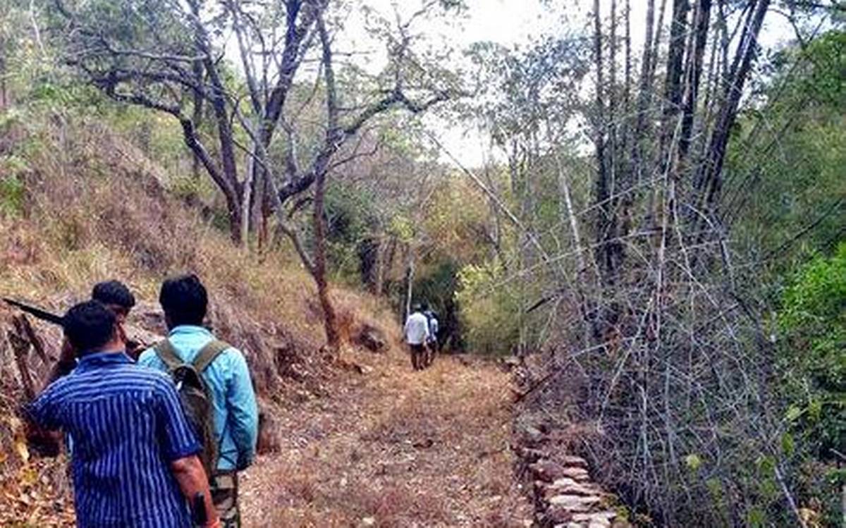 శేషాచలం అడవిలో ట్రెక్కింగ్‌ వెళ్తే చర్యలే