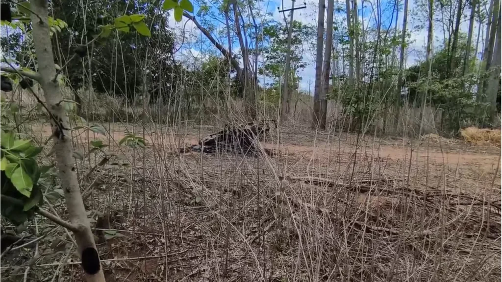 Telangana పొలాలకు వెళ్తున్న రైతులు బీ కేర్‌ఫుల్ కరెంట్‌ షాక్‌తో మృతి