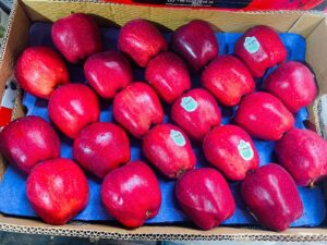 పాక్‌కు టర్కీ సహాయం.. పలు ప్రాంతాల్లో ఊపందుకున్న ‘బ్యాన్ టర్కీ’