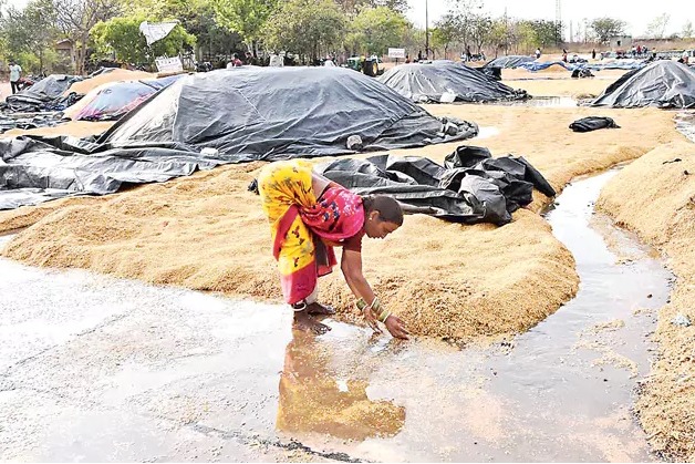 Telangana : తెలంగాణలో అకాల వర్షాలతో పంటలు నాశనం