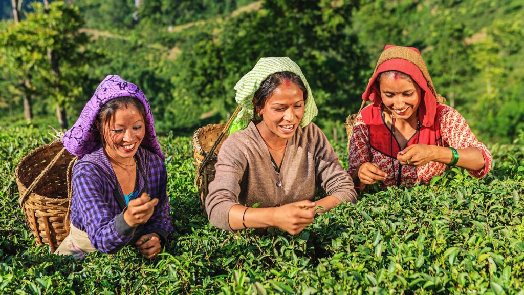  Summer trip: సమ్మర్ ట్రిప్ కు పర్ఫెక్ట్ ప్లేసులు ఇవే!